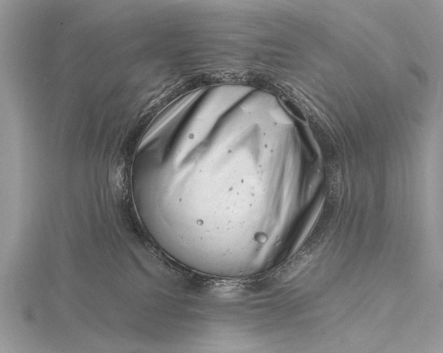 X0000116140088200912071252