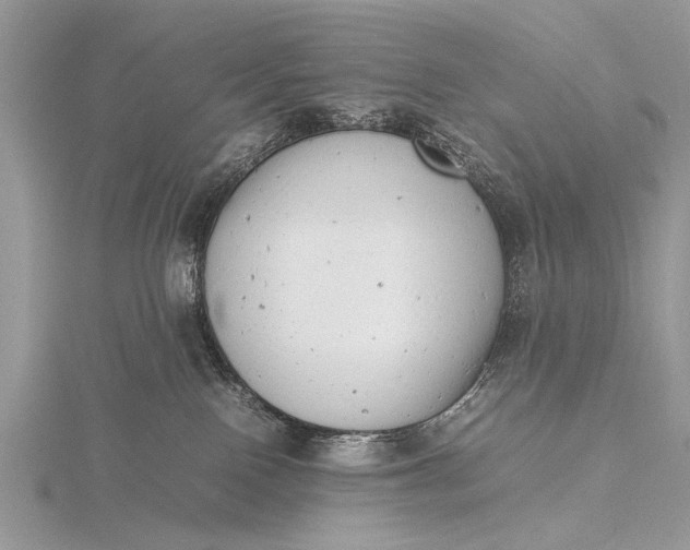 X0000116140090200912071252