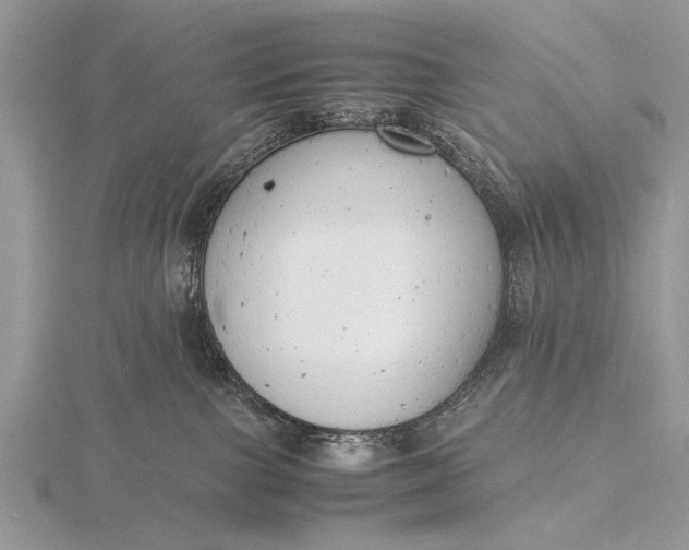 X0000116140091200912071252