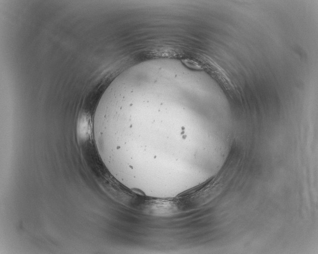 X0000116140095200912071252