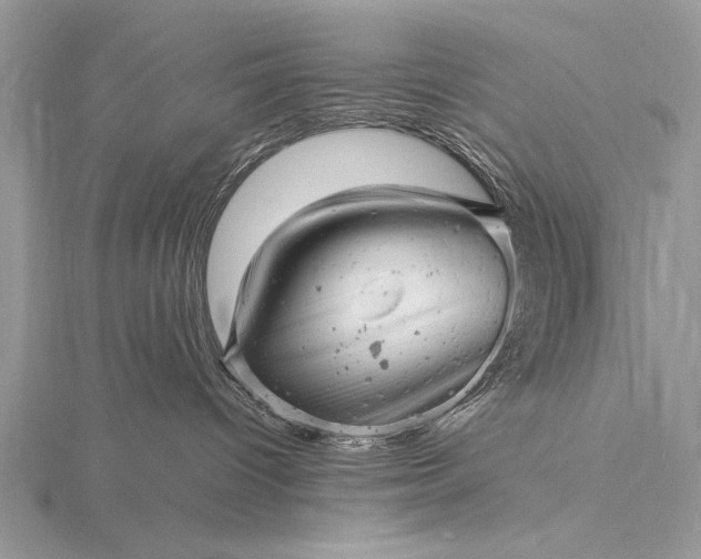 X0000116140096200912071252