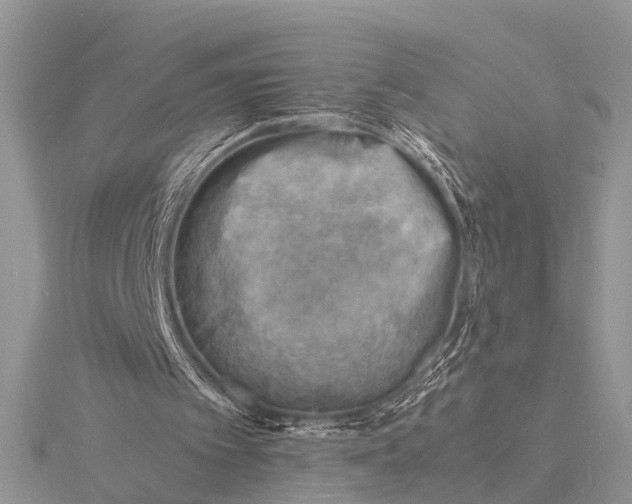 X0000116140097200912071251