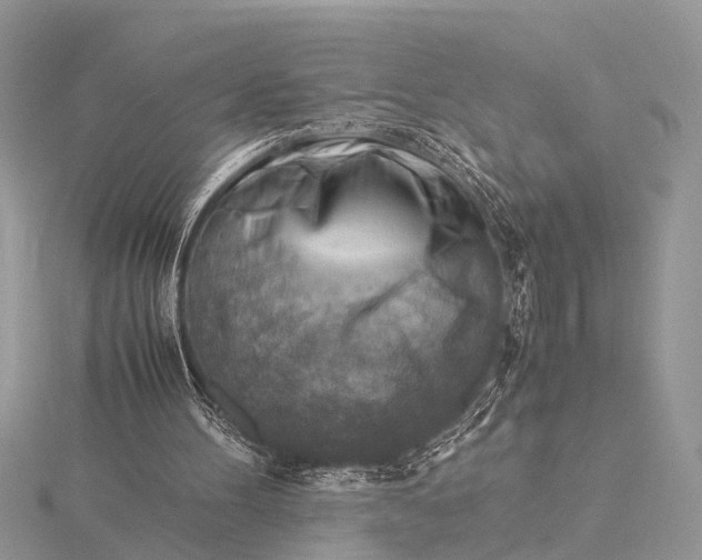 X0000116140100200912071251