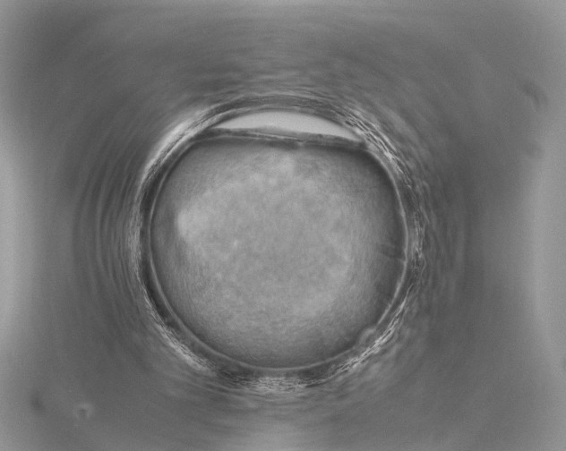 X0000116140101200912071251