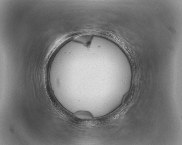 X0000116140103200912071251