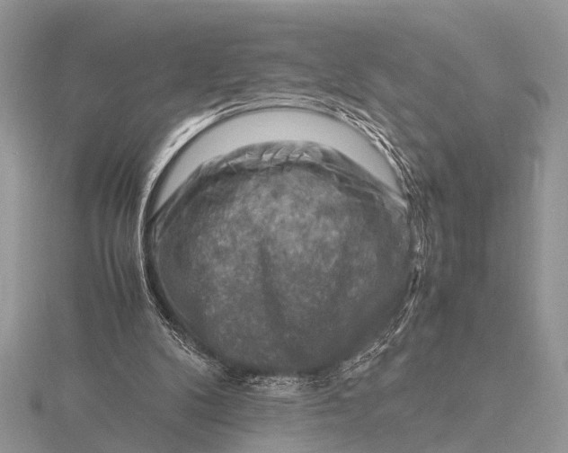 X0000116140104200912071251