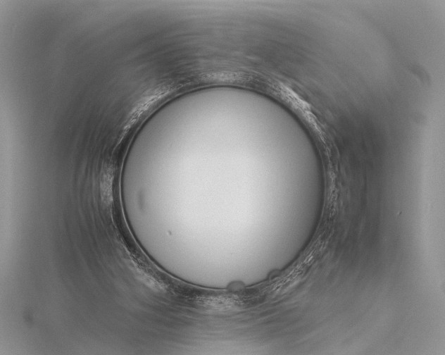 X0000116140106200912071251