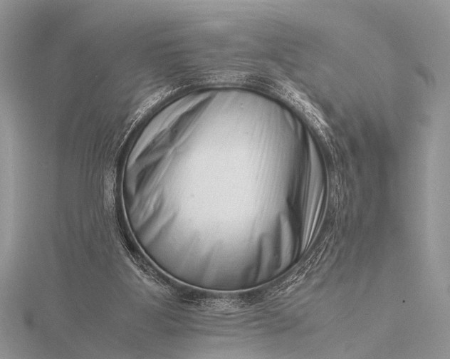 X0000116140107200912071251