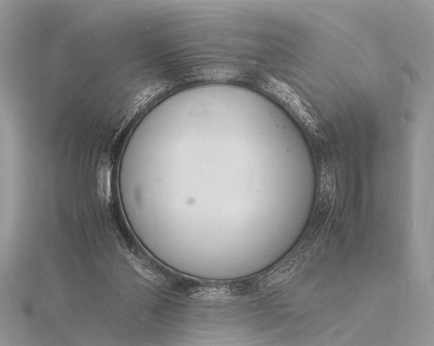 X0000116140110200912071251