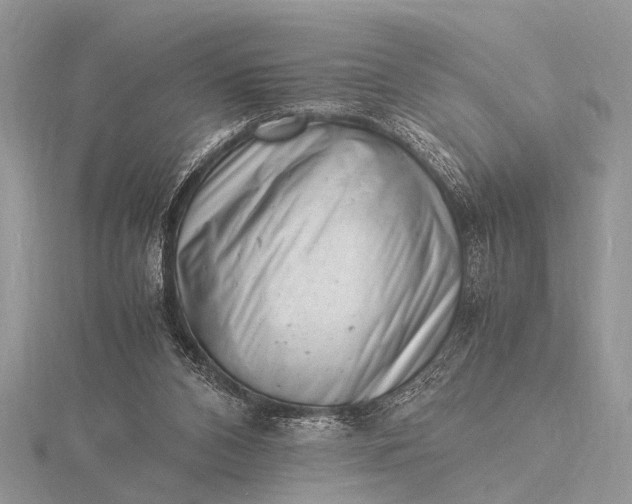 X0000116140112200912071251