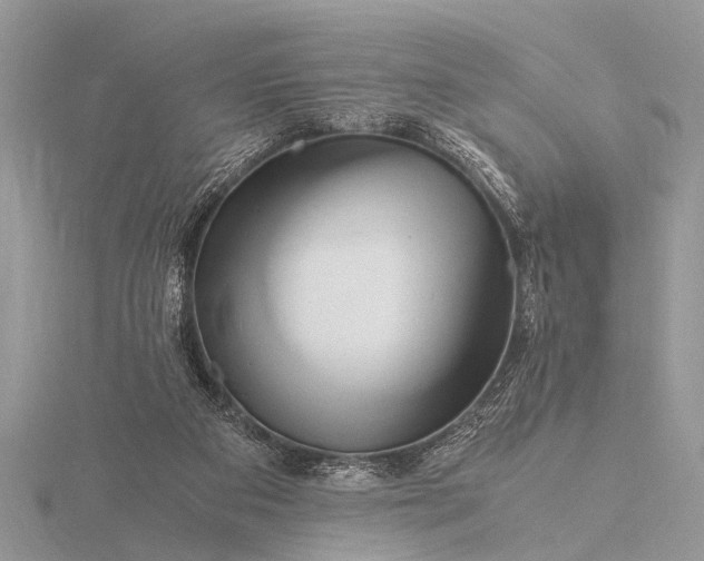 X0000116140113200912071251