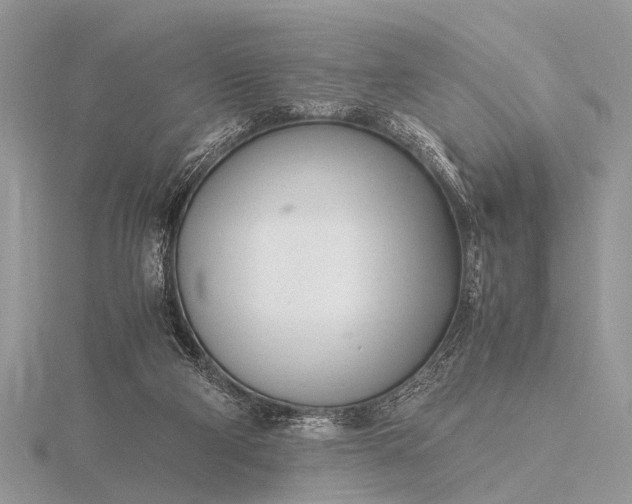 X0000116140114200912071251