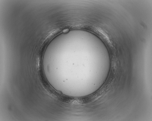 X0000116140115200912071251