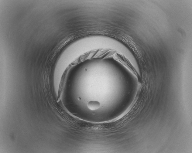 X0000116140116200912071251