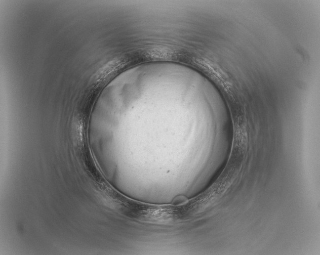 X0000116140117200912071251