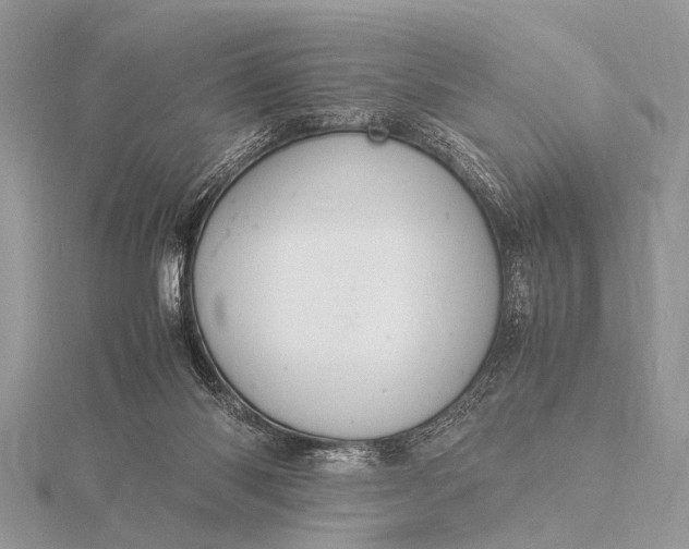 X0000116140118200912071251