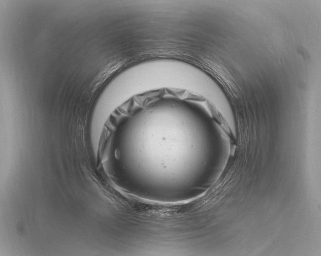 X0000116140120200912071251