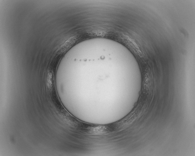 X0000116140122200912071251