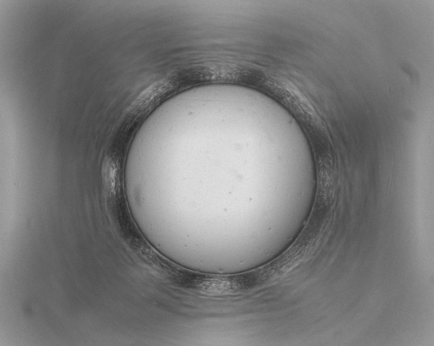 X0000116140123200912071251