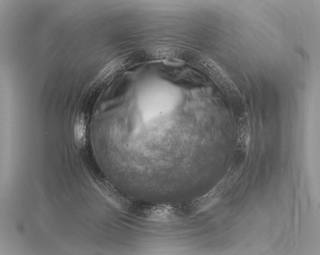 X0000116140124200912071251