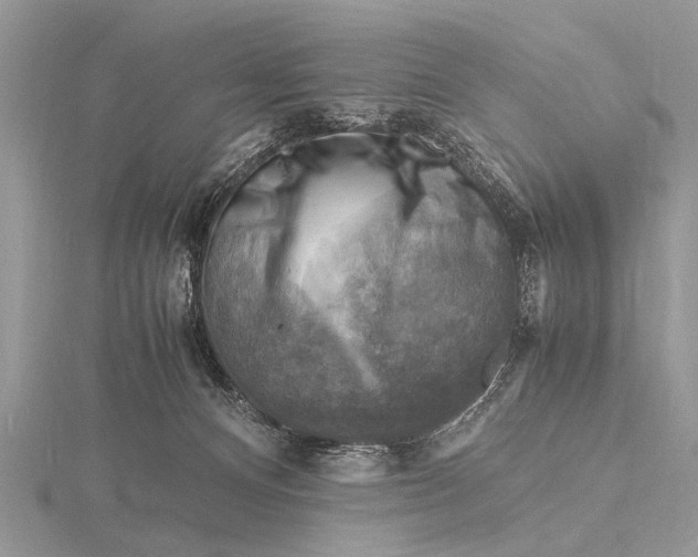 X0000116140128200912071251