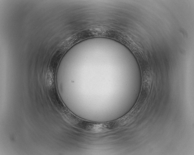 X0000116140130200912071251