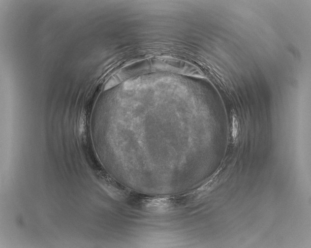 X0000116140132200912071250