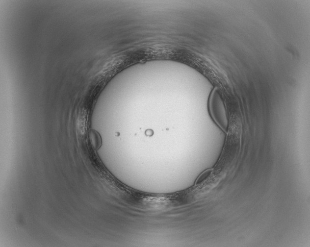 X0000116140133200912071250