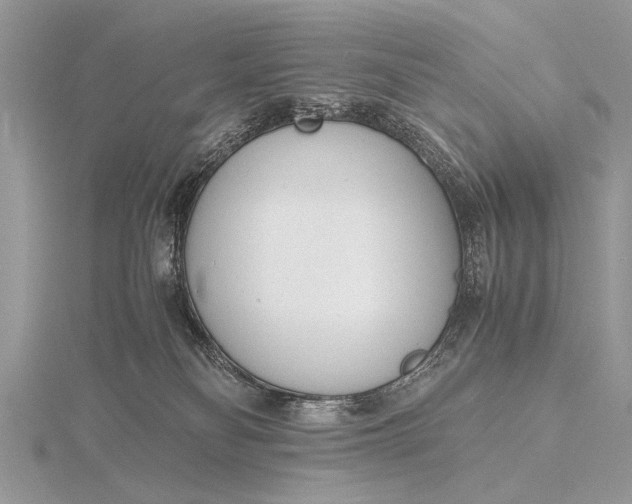 X0000116140134200912071250