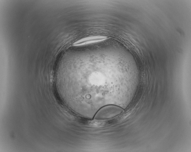 X0000116140135200912071250