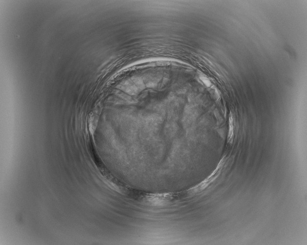 X0000116140136200912071250