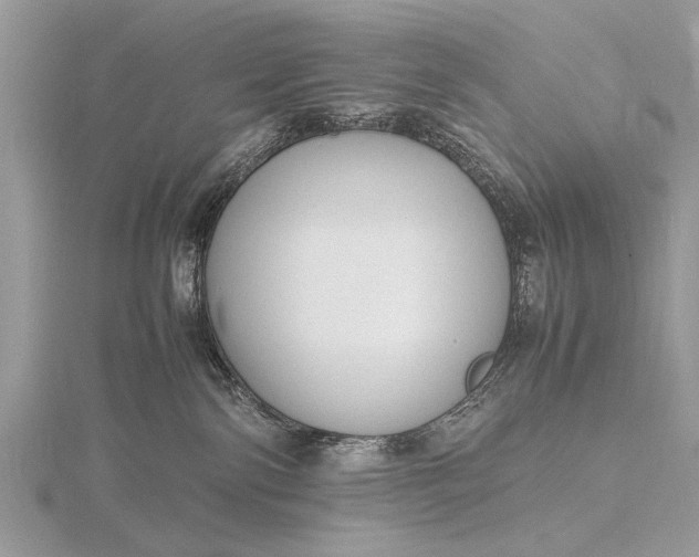 X0000116140138200912071250