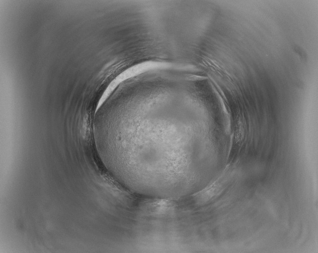 X0000116140140200912071250