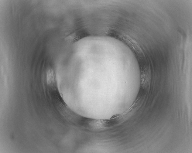 X0000116140142200912071250