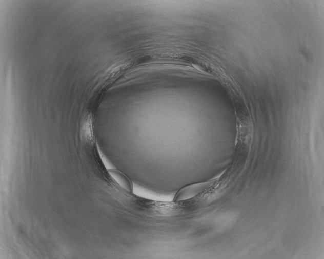 X0000116140143200912071250