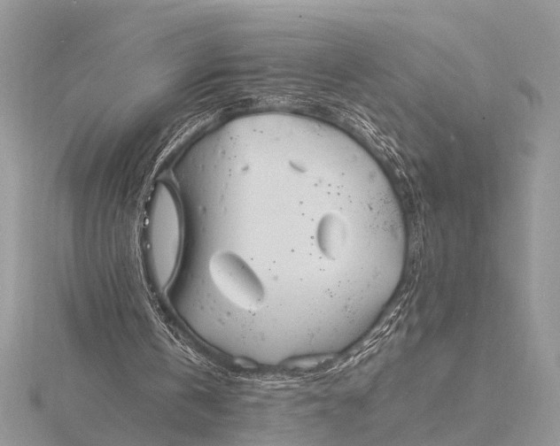 X0000116140146200912071250