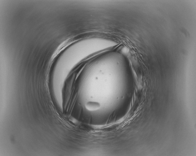 X0000116140150200912071250