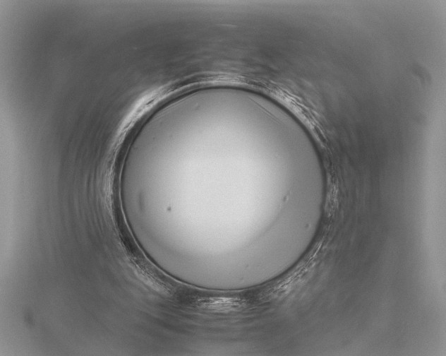 X0000116140151200912071250