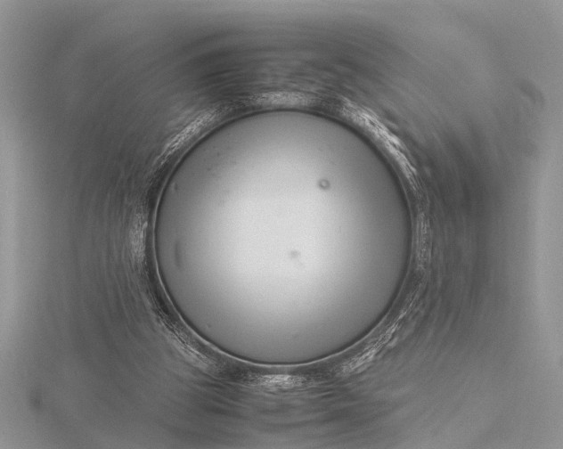 X0000116140153200912071250