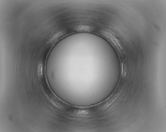 X0000116140157200912071250