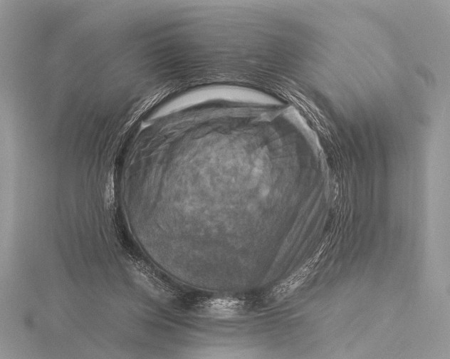 X0000116140158200912071250