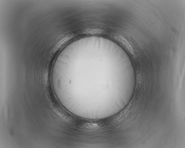 X0000116140159200912071250