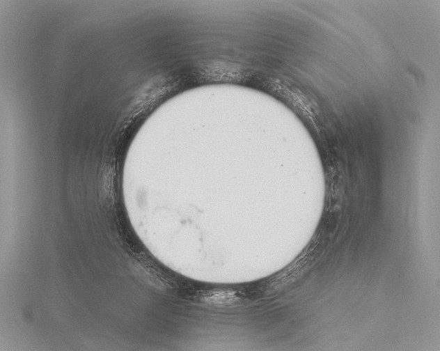 X0000116140162200912071250