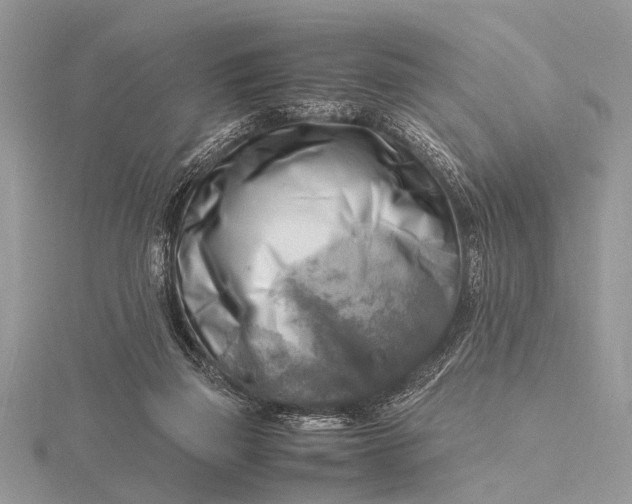 X0000116140165200912071250