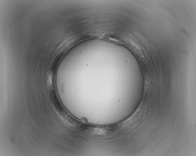 X0000116140166200912071250