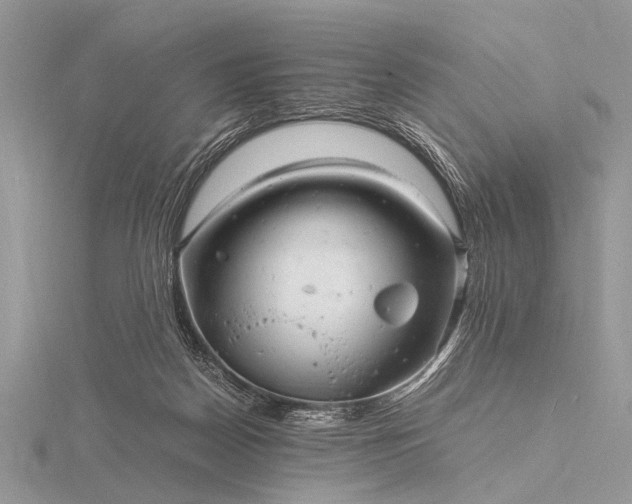 X0000116140170200912071250