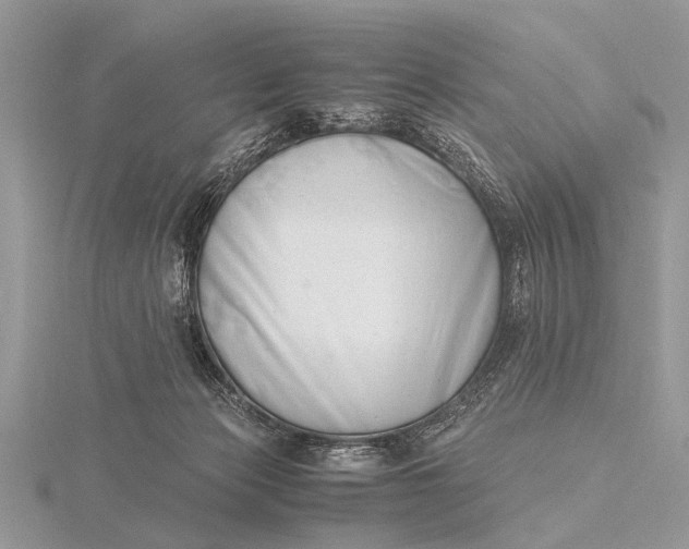 X0000116140173200912071250