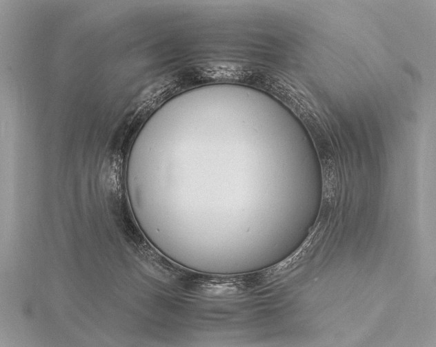 X0000116140175200912071250