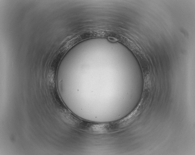 X0000116140178200912071250