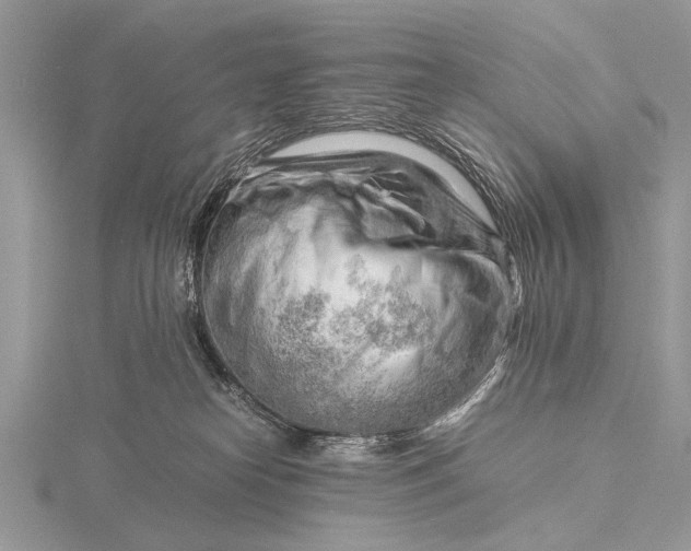 X0000116140182200912071250